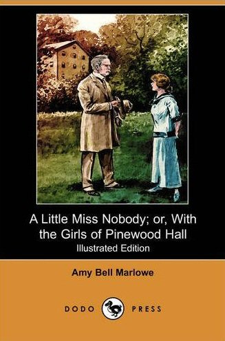 A Little Miss Nobody [ePUB]